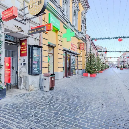 Arctic Apartment Brasov