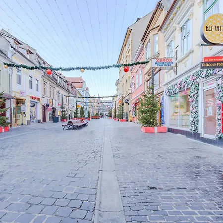 Apartment Arctic Brasov