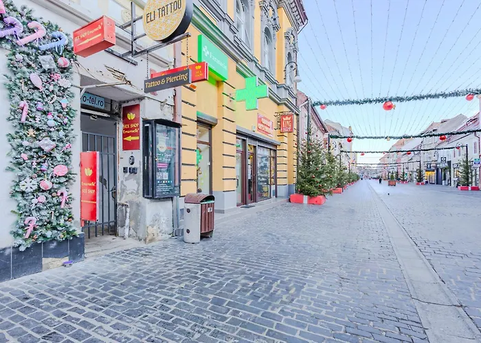 Arctic Apartment Brasov