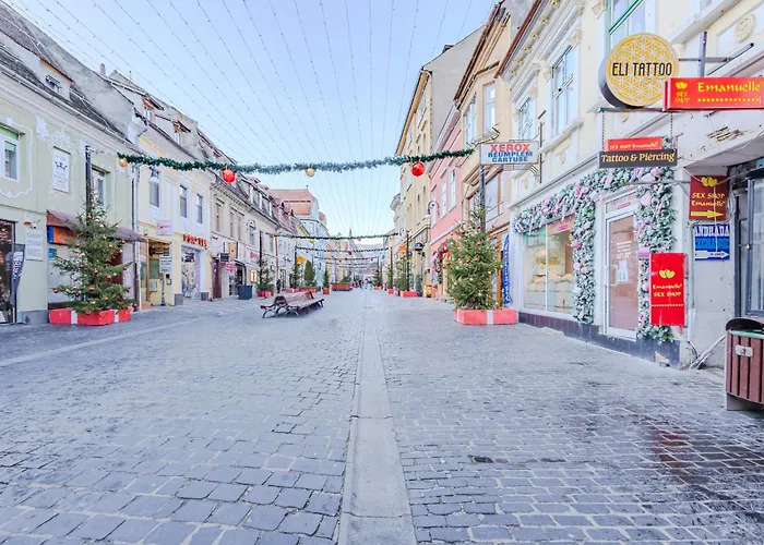 Apartment Arctic Brasov